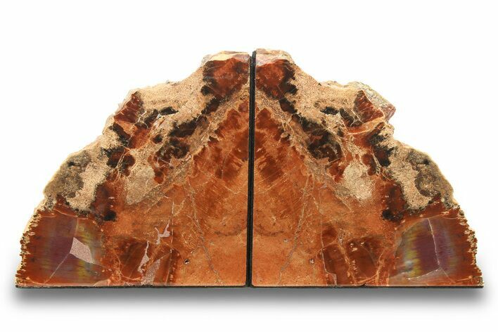 Tall, Colorful Arizona Petrified Wood Bookends #271124